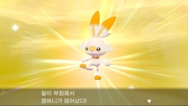 1821번째 이로치 뽑기완료 스타팅몬