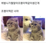니가 몰알아 조랭이떡같이 생긴게