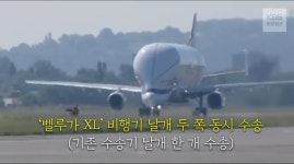 난다 고래!! | 유머 게시판 | 루리웹 난다 고래!! | 유머 게시판