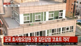 군포도 5명 집단감염 코호트 격리 ㄷㄷ | 정치유머 게시판 군포도 5명 집단감염 코호트 격리 ㄷㄷ | 정치유머 게시판 | 루리웹