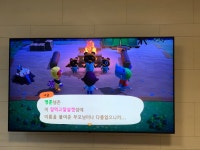 북반구 배섬입니다. 반가워요. 2565-2296-0803 | 모여봐요 동물의 숲 통신 게시판 [거래, 마을개방, 판매, 교환, 친구추가] | 루리웹