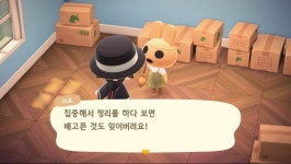 동물의 숲 실종자가 자주 발생하는 섬