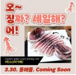 감자 완판에 이어 오징어 판매한다는 강원도jpg