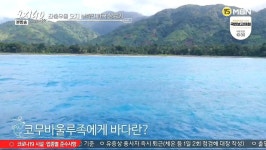 한국 바다를 본 반응 .. 외국인 vs 외국인 .jpg | 유머 게시판 | RULIWEB 한국 바다를 본 반응 .. 외국인 vs 외국인 .jpg | 유머 게시판 | 루리웹