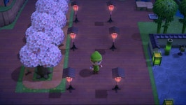 스압 코흘린트 섬 사진 올려봅니다