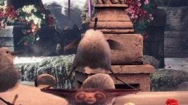 몬헌 폭신폭신 뜸부기 근황