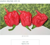 이게 조선 임진왜란 떄 있었으면 부산 근처에서 컷 시켰을건데... | (백업)유머 게시판(2018-2020) 이게 조선 임진왜란 떄 있었으면 부산... 