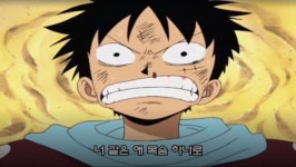 원피스 루피가 선장인 이유류 甲