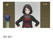 점점 다양해지는 세미