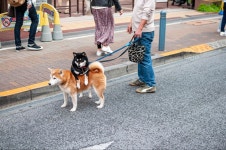 코로나 유행 전에 다녀왔던 수제버거집 Baker Bounce