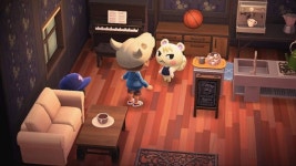 완료쭈니 분양합니다