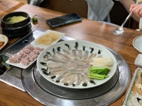 야탑에서 복어 먹었습니다 분당 야탑 바다복집