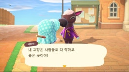 차둘 데려왔어요