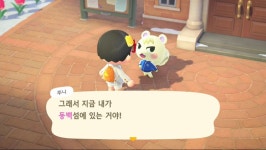 아미보로 쭈니 영입했습니다