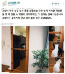 고양이 부엌 침입 방지 문을 만들었습니다