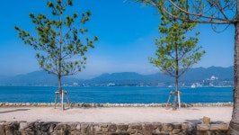 히로시마 3박4일 봄여행4 원폭 돔 바다 위에 절경 미야지마까지