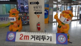 제주도 제주도에서 덕질하는 여행 제주도에서 덕질하는 방법 스압