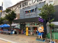 풍물시장 뒤쪽까지만 청계천쪽 산책 다녀온 사진들과 추석보름달사진