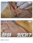 자연산 회 먹을 때 조심해야 하는 이유 | 유머 게시판 | 루리웹