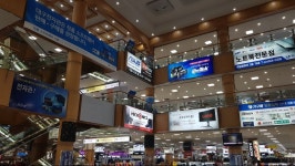 대구 대구에서 덕질여행 대구에서 덕질하는 방법 스압