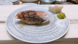 스압주의 중학동 스시 산원 궁 디너 오마카세