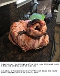 해외에서 가장 무서운 요리로 소개된 요리