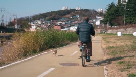 대천천 따라 걷기 | 대전 동구 대천천동로 | 국내여행 이야기 게시판 | RULIWEB 대천천 따라 걷기 | 대전 동구 대천천동로 | 국내여행 이야기... 