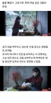 중국 전통 요리 만드는 유투버 .jpg | 유머 게시판 | 루리웹