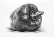 소묘라는 거 시발 어떻게 하는거냐