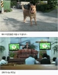 주인과 종교가 다른 댕댕이jpg