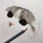 실감나는 고양이 그림 그리는 법jpg