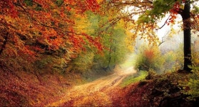 강원도 물 좋고 여행가기 좋고