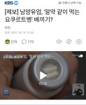 오늘자 남양 소식이에요~ | 유머 게시판 | 루리웹 l RULIWEB 오늘자 남양 소식이에요~ | 유머 게시판 | 루리웹