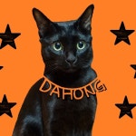 박수홍 근황.jpg | 유머 게시판 박수홍 근황.jpg | 유머 게시판 | 루리웹