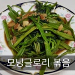 모닝 글로리