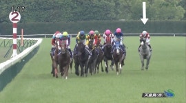 말딸바람이 날리는 쓸쓸한 경 마장