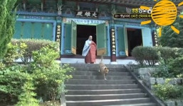 주인과 종교가다른 천재견 신덕이 ㅋ