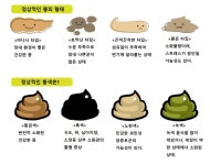 똥의 형태 와 색 jpg