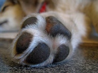 서울 말고 지방에서도 개발