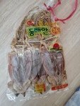 돌고래 오징어 와뜨아~ | 정치유머 게시판 돌고래 오징어 와뜨아~ | 정치유머 게시판 | 루리웹