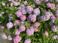 부산 태종대 | 국내여행 이야기 게시판 부산 태종대 | 국내여행 이야기 게시판 | 루리웹