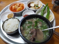 전국처묵투어(다시 대구,울산) | 음식 갤러리 전국처묵투어(다시 대구,울산) | 음식 갤러리 | 루리웹
