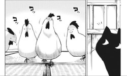 닭이랑 고양이랑 싸우면 누가 이기나요? | (백업)유머 게시판(2020-2021) 닭이랑 고양이랑 싸우면 누가 이기나요? | (백업)유머 게시판(2020... 