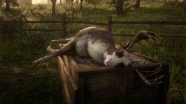 전설의 나이트 무스 머드 러너 숫사슴 오위자 곰 사냥 성공