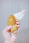 1년동안 키우고 있는 달퐁이들 | 반려동물 갤러리 1년동안 키우고 있는 달퐁이들 | 반려동물 갤러리 | 루리웹