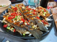 마산 산호동 우럭 요리집 | 음식 갤러리 마산 산호동 우럭 요리집 | 음식 갤러리 | 루리웹