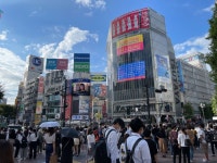 현재 시부야 현황 | 유머 게시판 현재 시부야 현황 | 유머 게시판 | 루리웹