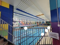 수영장 가서 펠프스 기록 깨고왔다 | 유머 게시판 수영장 가서 펠프스 기록 깨고왔다 | 유머 게시판 | 루리웹