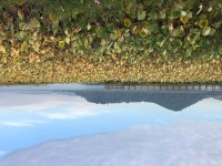 배스) 대호만 첫 출조 | 낚시 배스) 대호만 첫 출조 | 낚시 | 루리웹