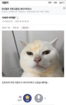 맛잘알 고양이.jpg | 유머 게시판 맛잘알 고양이.jpg | 유머 게시판 | 루리웹